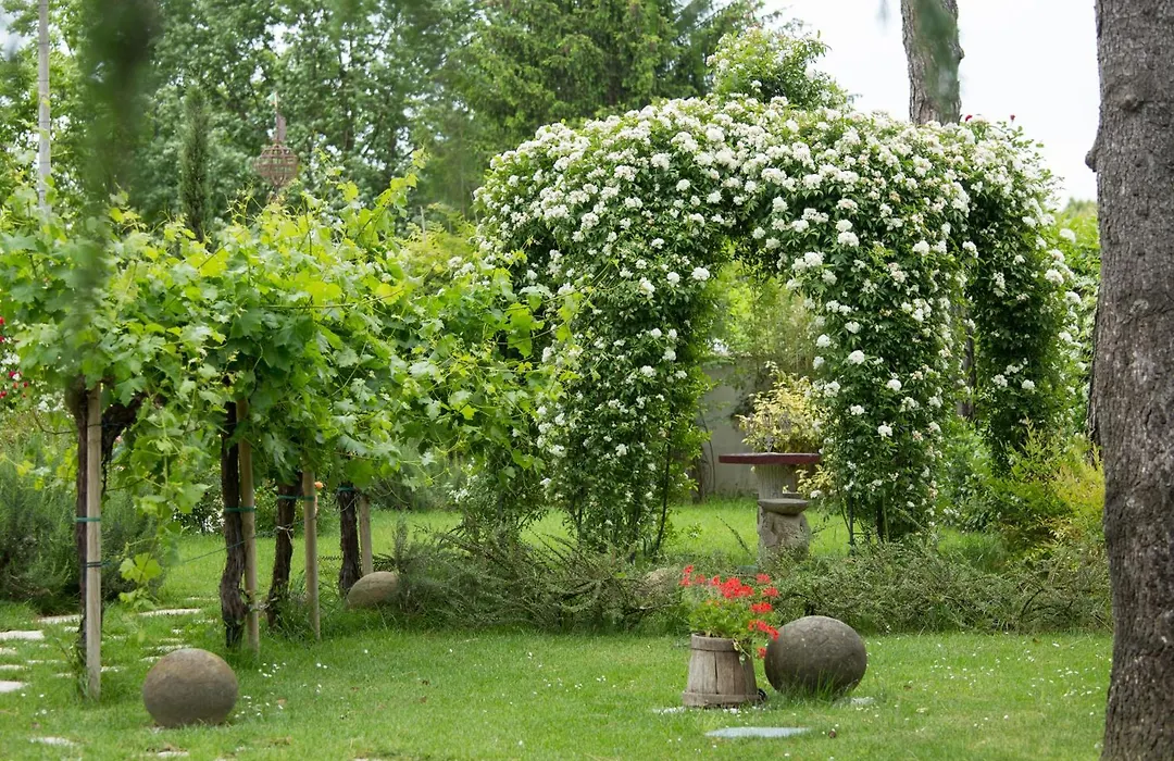 Ca'Bevilacqua Bed&Breakfast-1